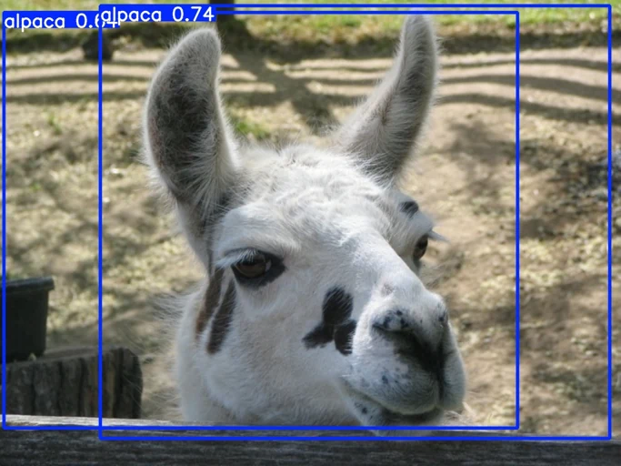 Bounding boxes predicted by the alpaca detector on an example image