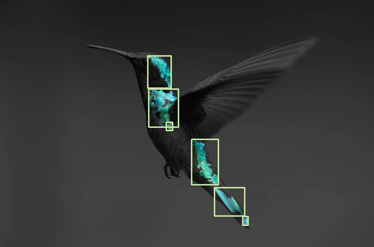 A hummingbird isolated by its turquoise plumage, with a bounding box over the detected region.
