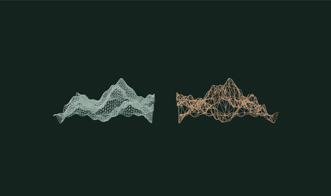 Original and reduced terrain meshes in wireframe, showing a retained open boundary and larger interior triangles
